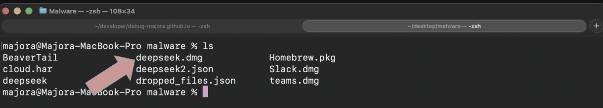 Terminal output screenshot